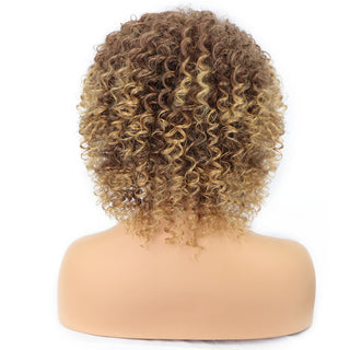 Cross-Border Wigs European And American Fashion African Small Curly Ladies Wigs Headgear Wig African Explosive Head - Phosgene