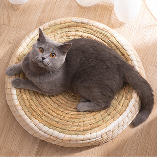 Teng Wok Felt House Cat Bed - Phosgene