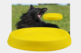 Pet Dogs Throwing Plastic Toys - Phosgene