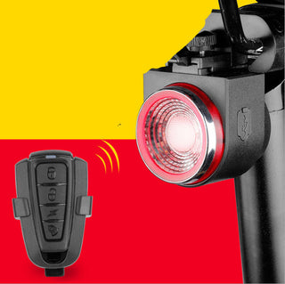 Bike Rear Light With Intelligent Sensor, Anti-theft Alarm, USB Rechargeable, Flash - Phosgene