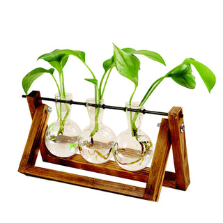 Swing Wooden Stand Hydroponic Plant Container Glass Vase - Phosgene