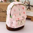 The supply of Korean pastoral small Suihua mini small bags hasp cute fashion change key bag - Phosgene