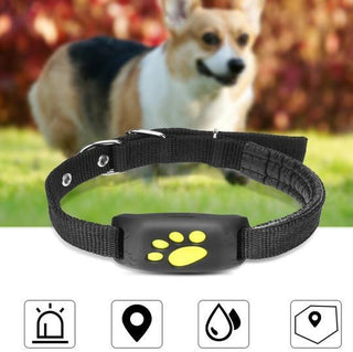 GPS Pet Tracker - Phosgene