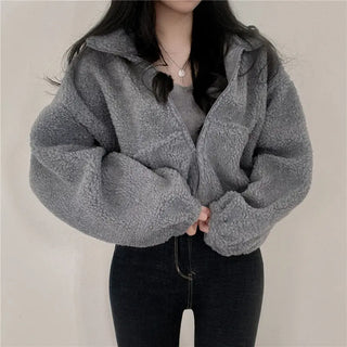 Stand-up Collar Thermal Faux Lamb Fur Coat Women's Autumn And Winter New Loose Temperament Zip Cardigan Tops Phosgene