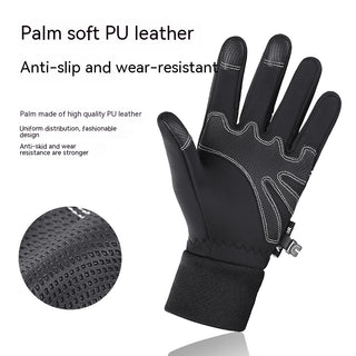 Outdoor Autumn And Winter Men's Warm Riding Gloves Touch Screen Wind-proof - Phosgene